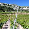 Zaraće - photo 14