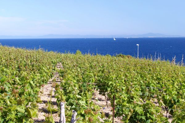 Zaraće - photo 15