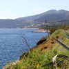 Zaraće - photo 16