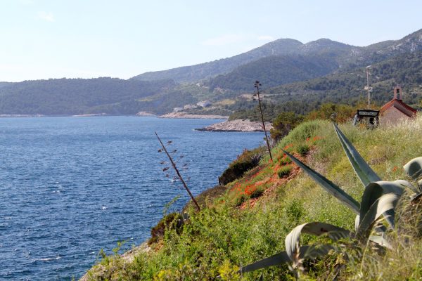 Zaraće - photo 16