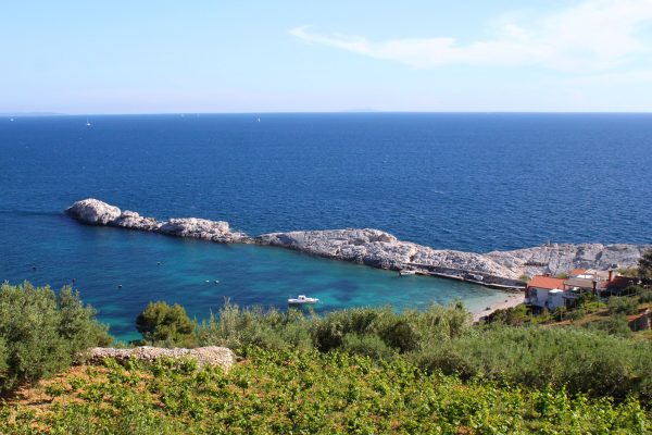 Zaraće - photo 3