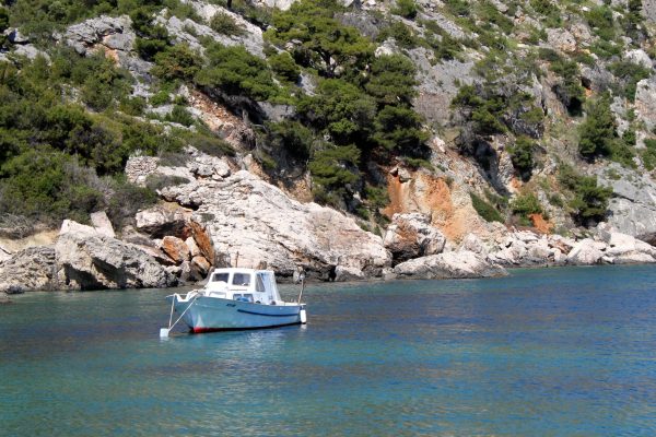 Zaraće - photo 9