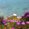 Zaraće (Gdinj) - photo 9
