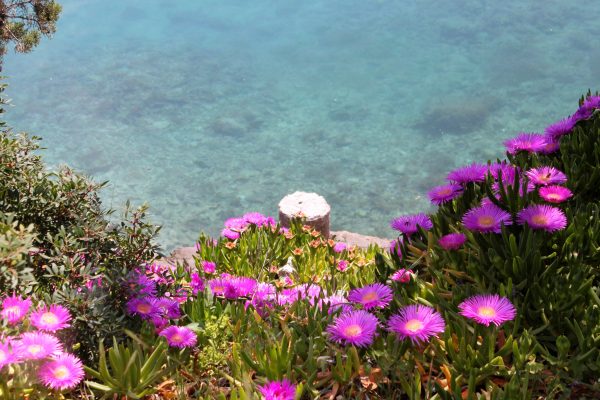 Zaraće (Gdinj) - photo 9