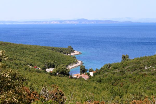 Zastupac