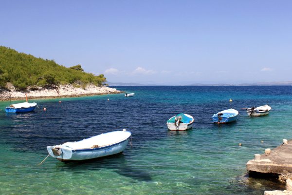 Zastupac - photo 6