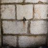 Veli Iž - photo 18