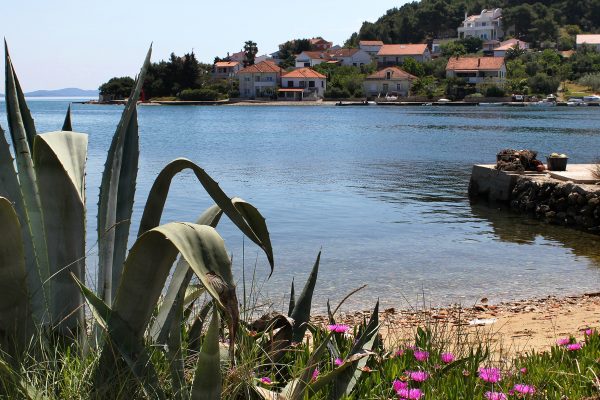 Veli Iž - photo 3