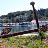 Veli Iž - photo 9