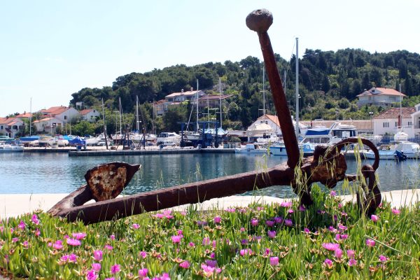 Veli Iž - photo 9