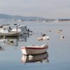 Kaštel Štafilić - photo 13