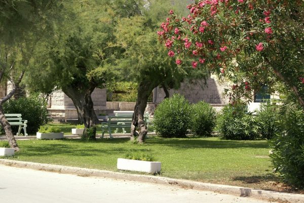 Kaštel Štafilić - photo 14