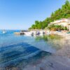 Babina - photo 5