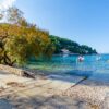 Babina - photo 6