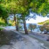 Babina - photo 9