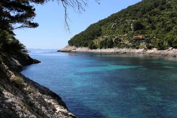 Bačva - photo 4
