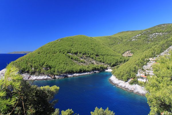 Bratinja Luka - photo 4