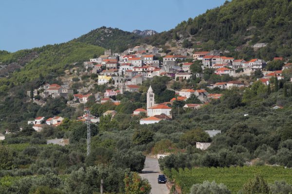 Čara