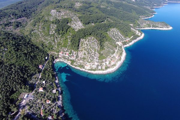 Črnja Luka