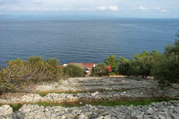Črnja Luka - photo 5