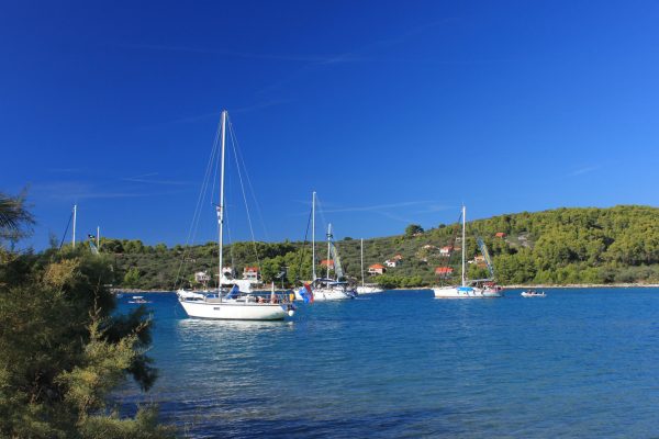 Gradina - photo 4