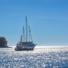 Gradina - photo 7