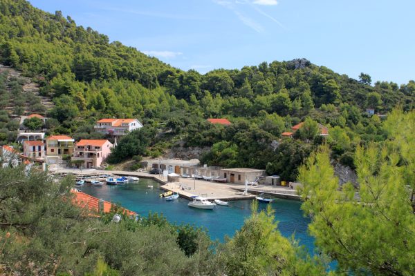 Gršćica - photo 10