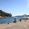 Gršćica - photo 14