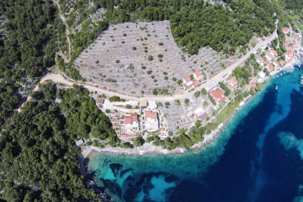 Gršćica - photo 15
