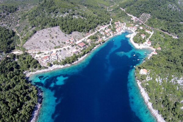 Gršćica - photo 2