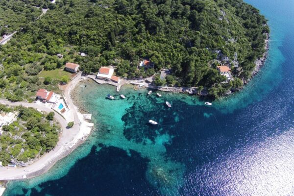 Gršćica - photo 9