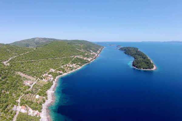 Karbuni - photo 1