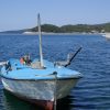 Karbuni - photo 10