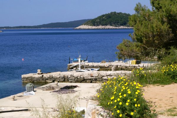 Karbuni - photo 12