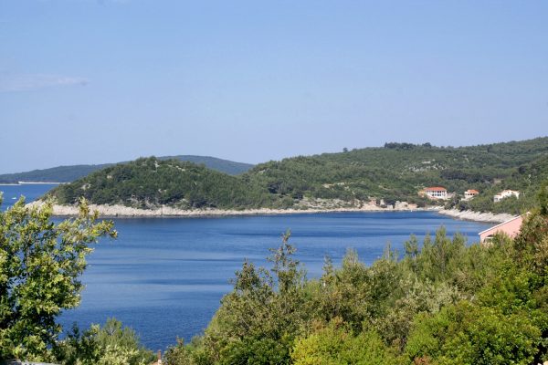 Karbuni - photo 13