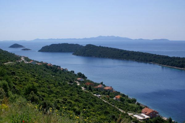 Karbuni - photo 15