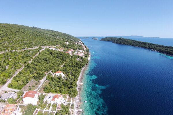 Karbuni - photo 5