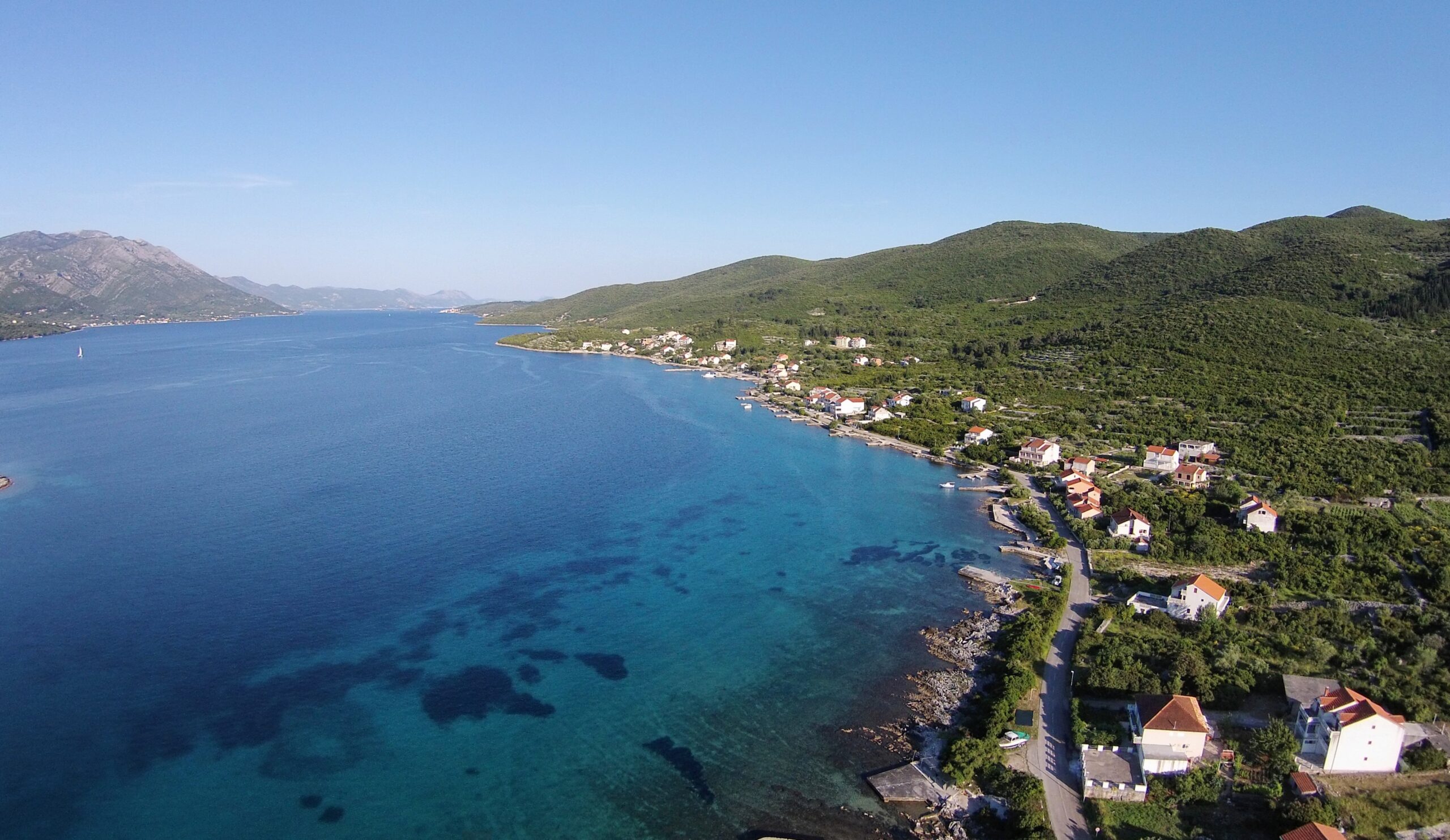 Kneža
