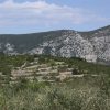 Kneža - photo 13