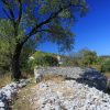 Kneža - photo 17