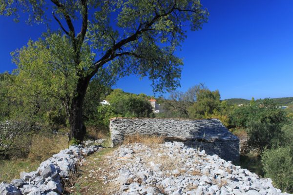 Kneža - photo 17