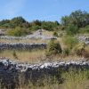 Kneža - photo 18