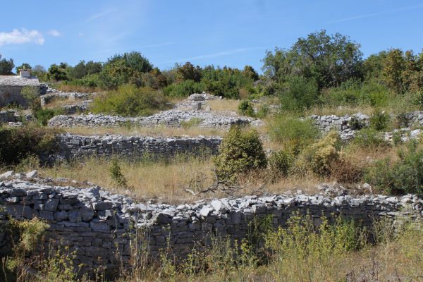Kneža - photo 18