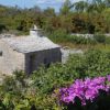 Kneža - photo 24