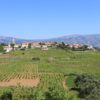 Lumbarda - photo 21