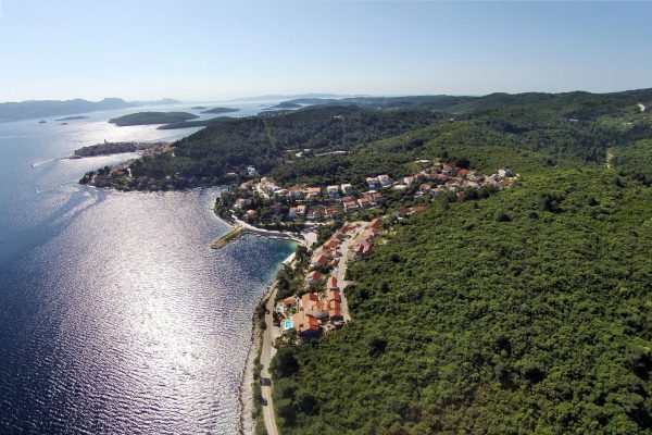 Medvinjak