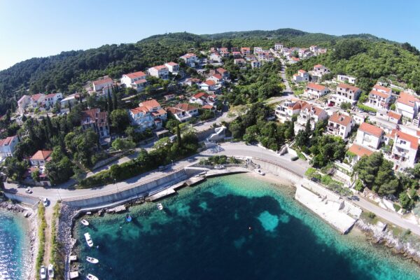 Medvinjak - photo 2