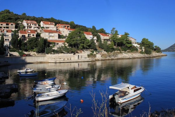 Medvinjak - photo 4