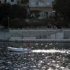 Medvinjak - photo 7