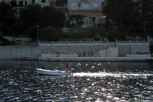 Medvinjak - photo 7